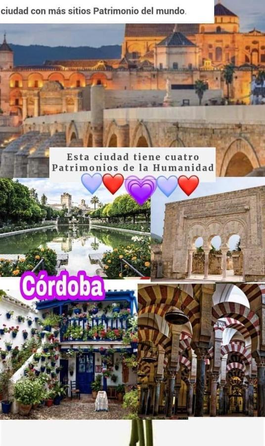Grupo Limcotel El Paseito De Concha-Mesquita-Parking Cordoue Extérieur photo